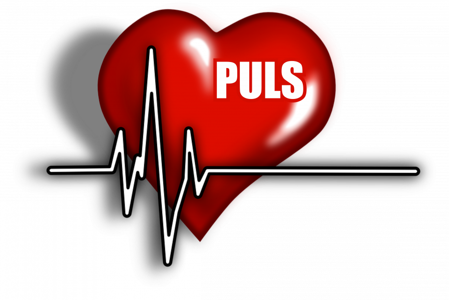 puls